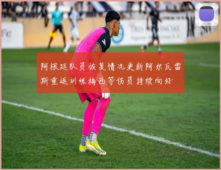 阿根廷队员恢复情况更新阿尔瓦雷斯重返训练梅西等伤员持续向好