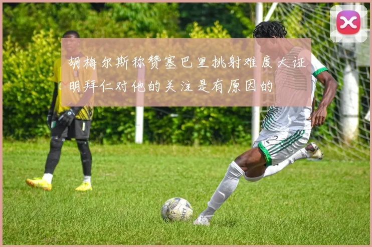 胡梅尔斯称赞塞巴里挑射难度大证明拜仁对他的关注是有原因的